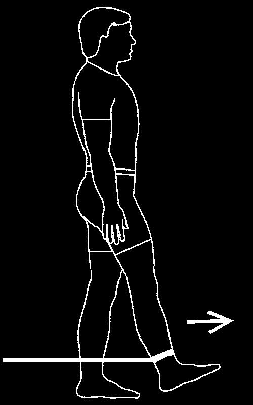 Hips Hip Flexion (Standing) Attach elastic to secure object at ankle level. Loop band around ankle. Stand, facing away from the pull. Extend leg forward, keeping knee straight.