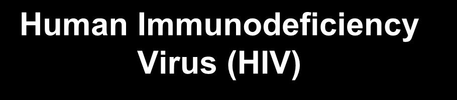 Human Immunodeficiency Virus (HIV) Attacks