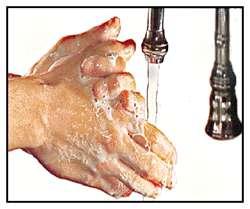 Hand Washing Wash hands before Eating Wash hands after Any contact with blood, body fluids or soiled objects Using the toilet