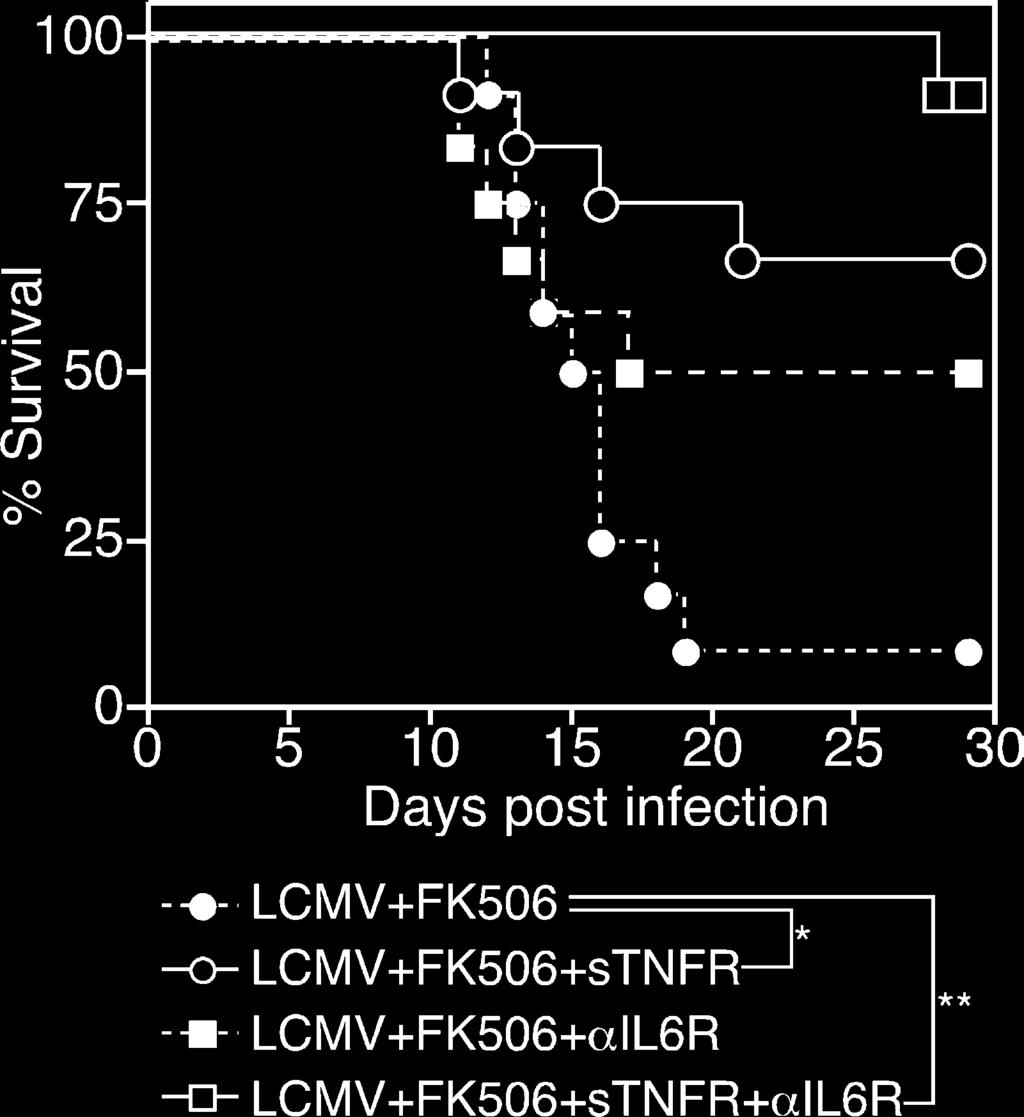 Figure 10. Overproduction of inflammatory cytokines responsible for lethal disease in LCMV-infected FK506-treated mice. B6 mice were infected with LCMV Armstrong in the presence or absence of FK506.