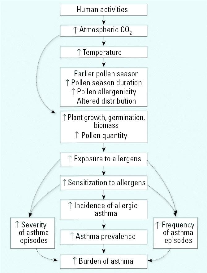 Impacts of pollen exposure on allergic