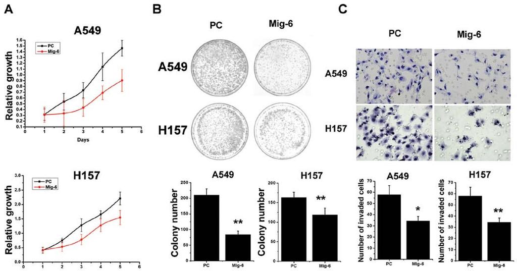 ONCOLOGY REPORTS 31: 1707-1714, 2014 1713 Figure 5. Overexpression of Mig-6 in A549 and H157 cell lines induces proliferation and inhibits invading ability.