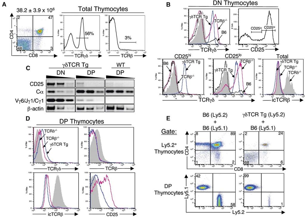 Immunity 584 Figure 1. Generation of αβ and γδ Lineage Cells in γδtcr Tg Mice (A) Phenotypic analysis of γδtcr Tg thymocytes.