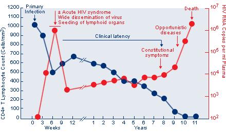 Figure 1-3. Natural history of HIV-1 infection.