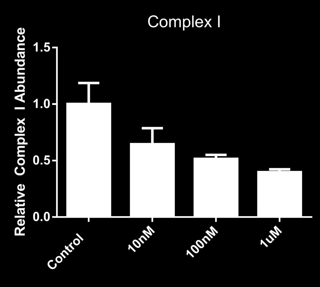 (Fig. 2). Treatment with higher concentration of PGE2 correlates to a decrease in mitochondrial protein complex I. Figure 1.
