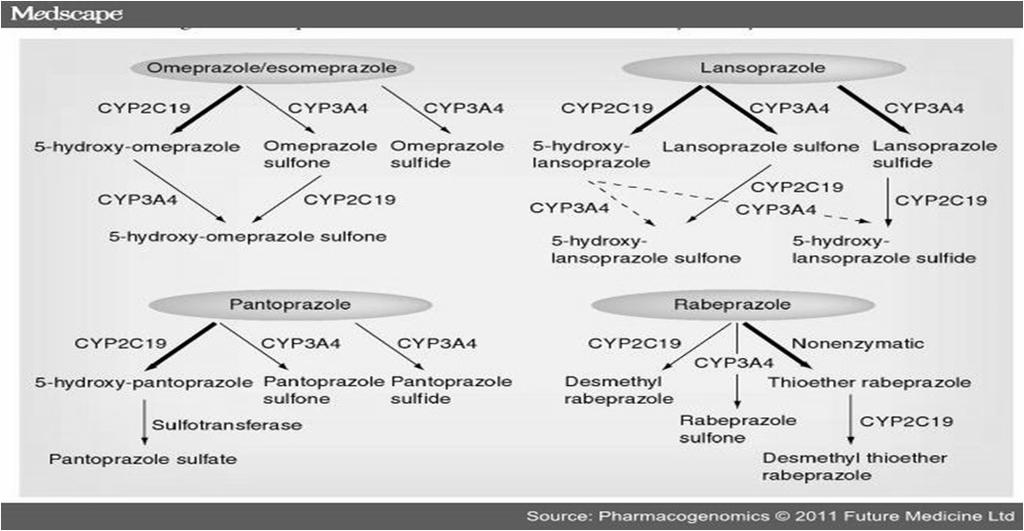 Systematic Application of Pharmacogenomic Polymorphisms Identify the polymorphism and what it may affect CYP2C19 enzyme The variant CYP2C19*3 or *2 allele results in no activity Hagymási, K, et al.