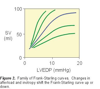Frank-Starling Curves Frank Starling " Intrinsic regulation of heart pumping " Increased venous return leads to increased stroke volume " CO=SV x HR 11/13/13 badri@gmc 31 11/13/13 badri@gmc 32