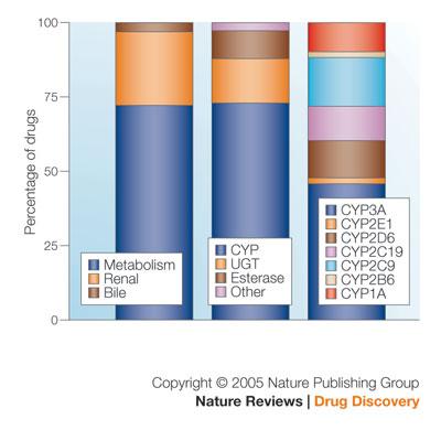 Drug metabolizing enzymes Route of elimination of the top 200 most prescribed drugs in 2002 Enzymes listed in FDA guidelines CYP: