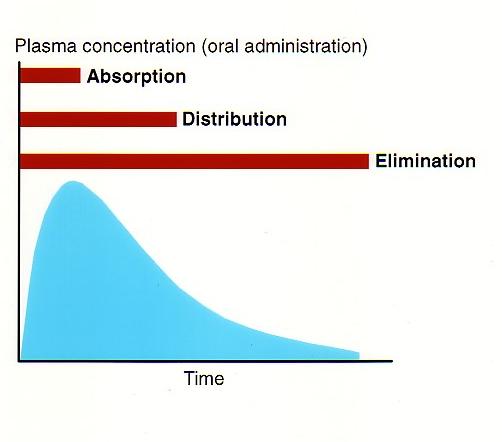Pharmacokinetics oral administration Drug concentration in