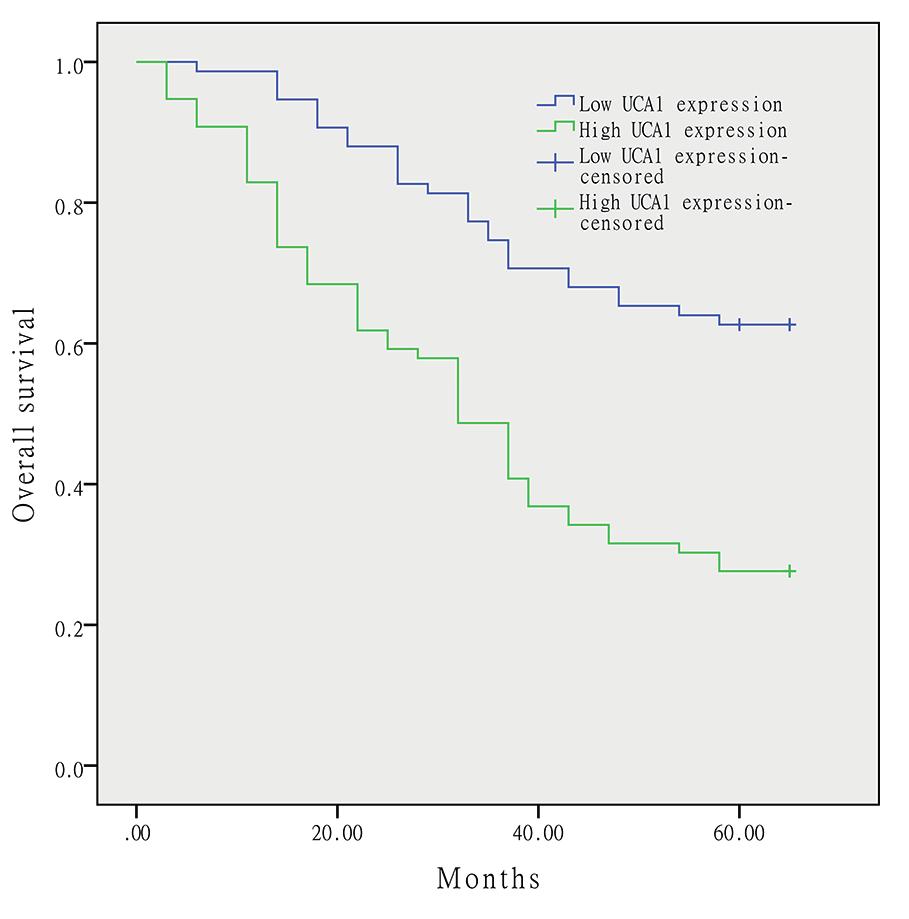 association between UCA1 expression and survival of osteosarcoma patients.