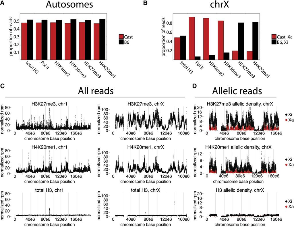 Figure 2. ChIP-Seq Shows X-Linked Epigenetic Biases (A and B) Proportional allelic distributions over autosomes (A) and chrx (B).