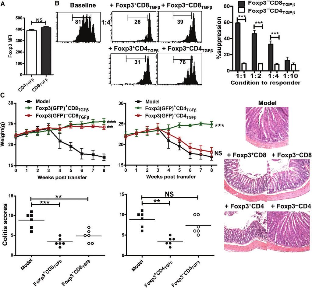 Identification of novel CD8 + Treg subset Journal of Molecular Cell Biology 83 Figure 1 The suppressive activity of CD8 + itreg cells is independent of Foxp3 expression.