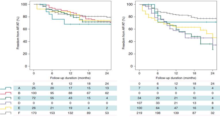 Retrospective Multi Center Analysis Demonstrates Cryoballoon Reproducibility Compared to Radiofrequency Cryoballoon ablation resulted in better midterm efficacy vs.