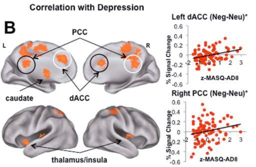 Neural Alterations in Mood & Anxiety Disorders Structural alterations in default, control & salience network in MDD (Drevets et al., Brain Struct Func, 2008; Koolschijn et al.