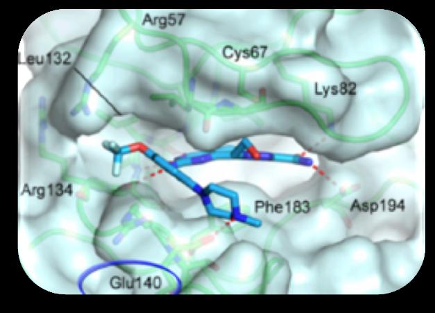 PCM-075 Biochemical Profile Polo-like kinase 1 (PLK1) inhibitor Selective, adenosine triphosphate (ATP) competitive PLK1 inhibitor Selectivity driven by polar