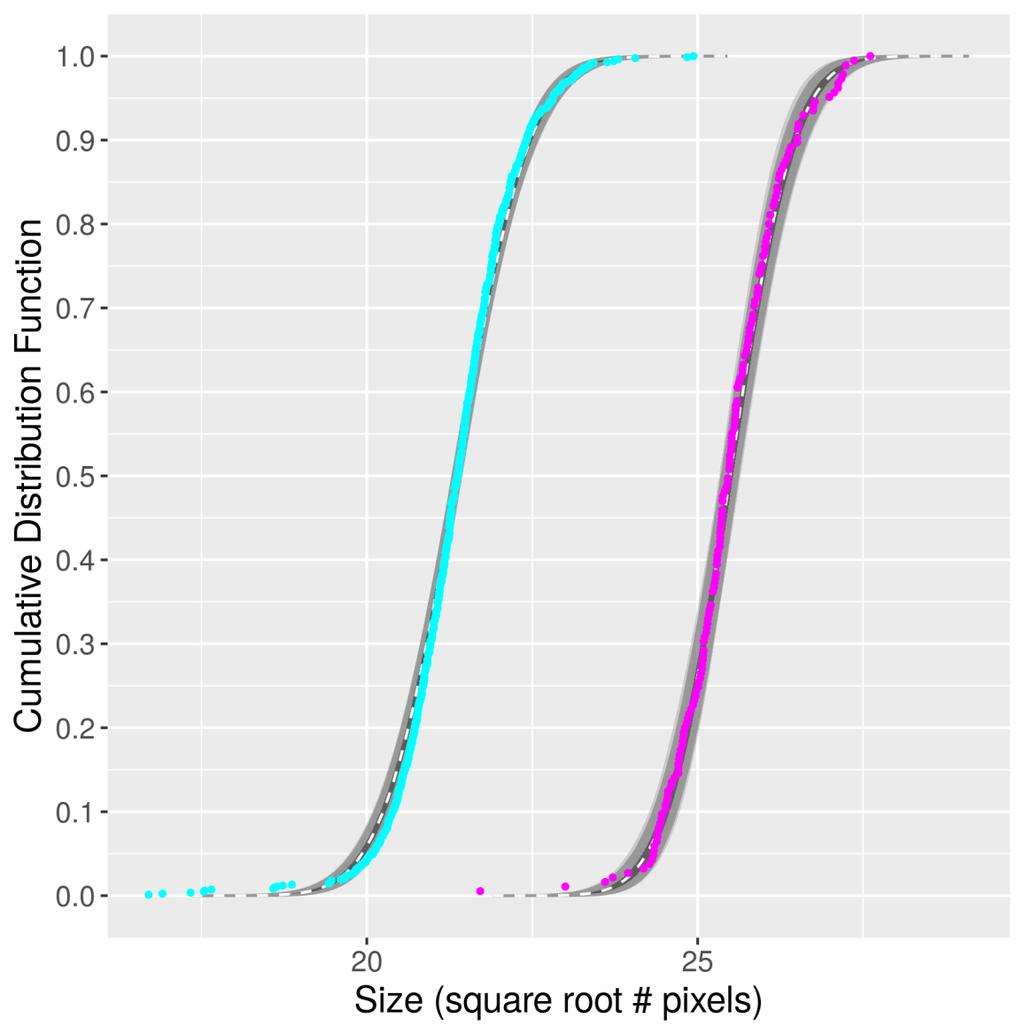 FREQUENCY DISTRIBUTION CURVES OF SIZE FOR