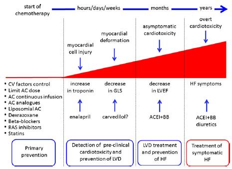Cardiac journey of cancer patients