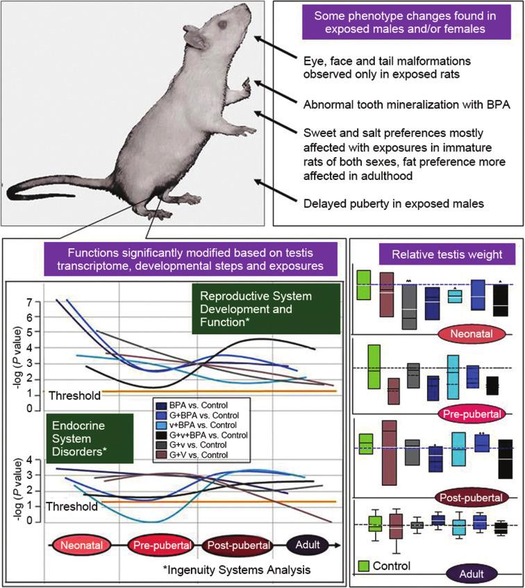 66 a c b Figure 1: Main features of the integrated rat model for the assessment of the effects and modes of action of endocrine active substances.