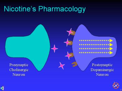 Nicotine Pharmacology 40 Nicotine