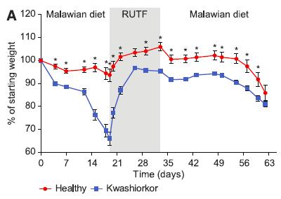 Gnotobiotic (sterile gut) mice given Normal or Kwashiorkor Microbiomes from Malawian Children Mice given normal bacteria - maintained their weight The bacteria