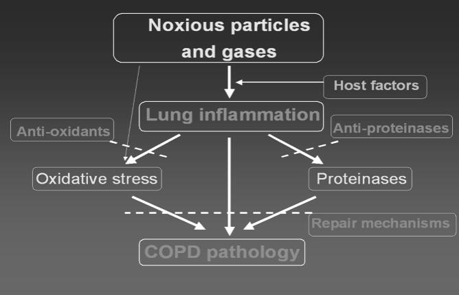 Disease Trajectory of a Patients with COPD Symptoms Exacerbations Exacerbations Exacerbations Deterioration End of Life 4/22/12 badri@gmc 7 4/22/12 badri@gmc 8 New Definition Chronic obstructive