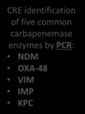 Modified Carbapenem Inactivation Method (mcim) CRE