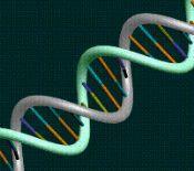 Single nucleotide polymorphisms (SNPs) are variations in the coding of a DNA sequence that occur as a result of a single