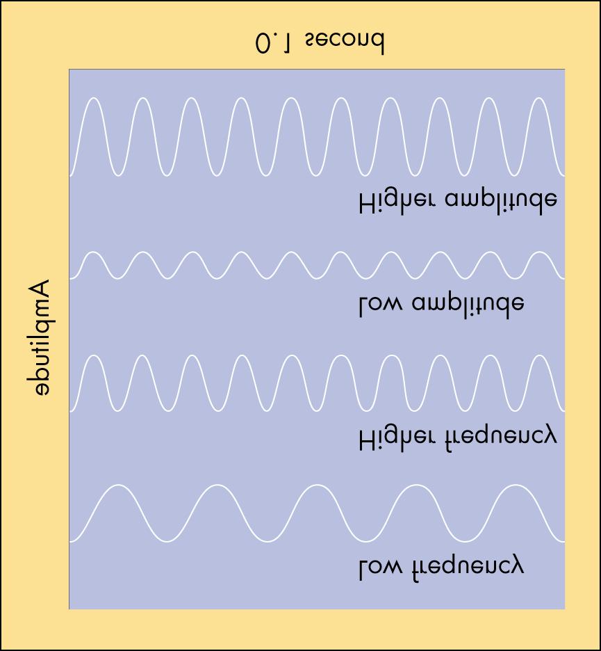 Auditory Stimulus Frequency: How many cycles that can fit into one second. The higher the frequency, the greater the amount of waves in one second, which tends to sound higher in pitch.