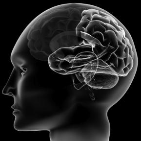 experiences Brain Chemistry Mental Illness in US