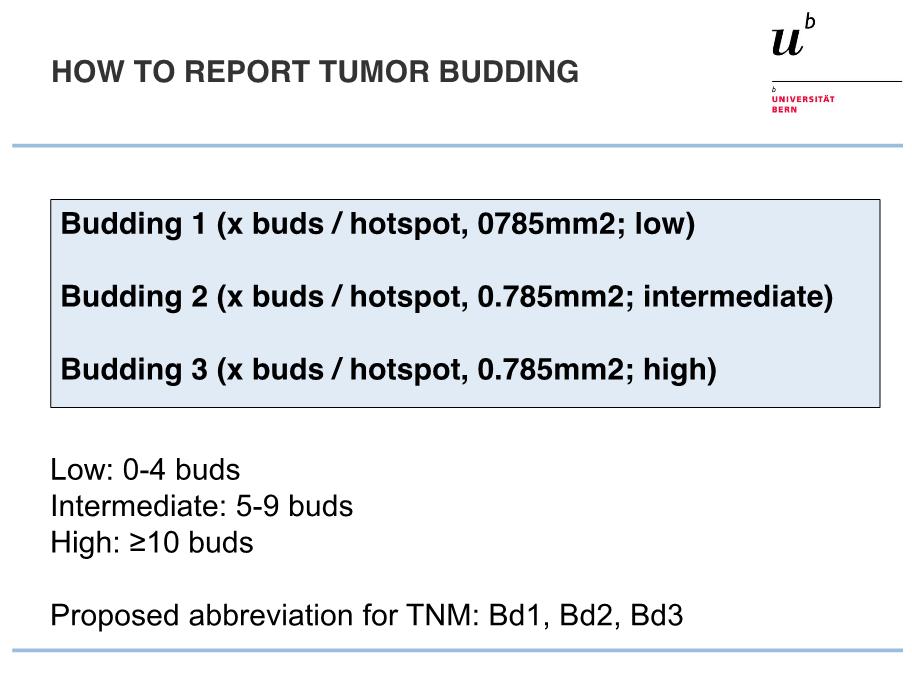 Grading tumor budding: - G1: <5 - G2: 5 to 9 - G3: 10 Ueno H, et al.