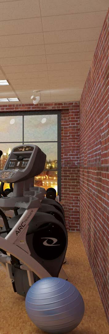 Customize Your Equipment to Build Your Brand Since we build every exercise machine to order, you have the opportunity to flex your creative muscles by customizing your Cybex equipment to complement