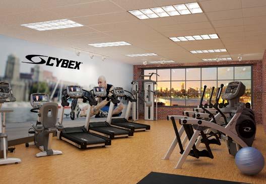 Or choose from our line of free weights, racks, benches, and body-weight stations.