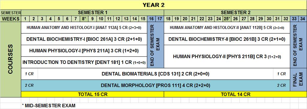 CURRICULUM MAP INTRODUCTION TO THE COURSE Dental morphology is a continuous course that focuses on theoretical knowledge of the anatomy of teeth and related structures and carving of teeth from wax