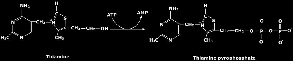 hydroxythyl thiozole by a methylene linkage.