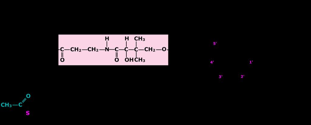 βmercaptoethylamine. 4.2 Structure Fig5.