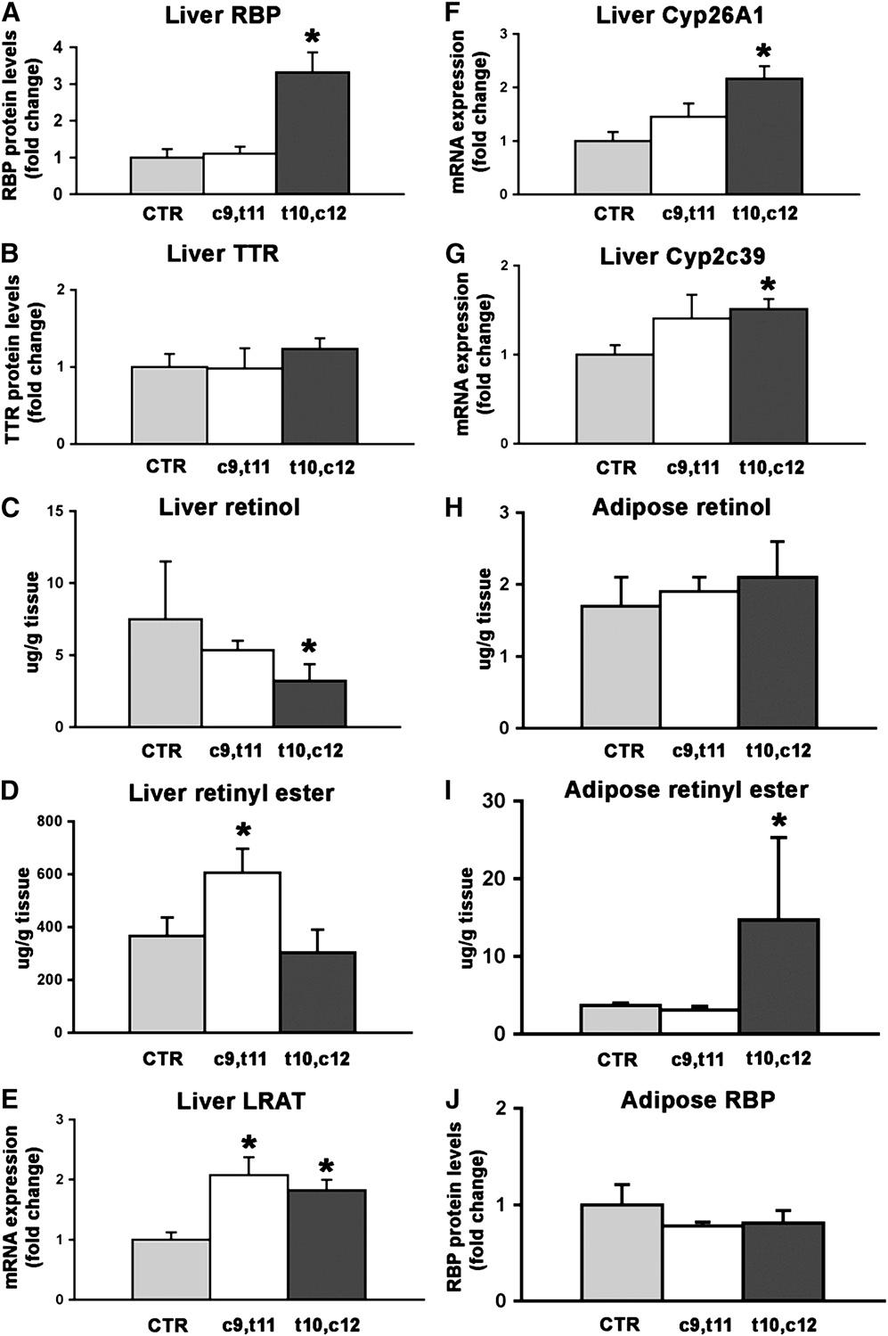 Fig. 3. Effects of dietary CLA on tissue retinoid metabolism in wild-type mice. A: RBP and (B) TTR protein levels in the liver of wild-type mice.