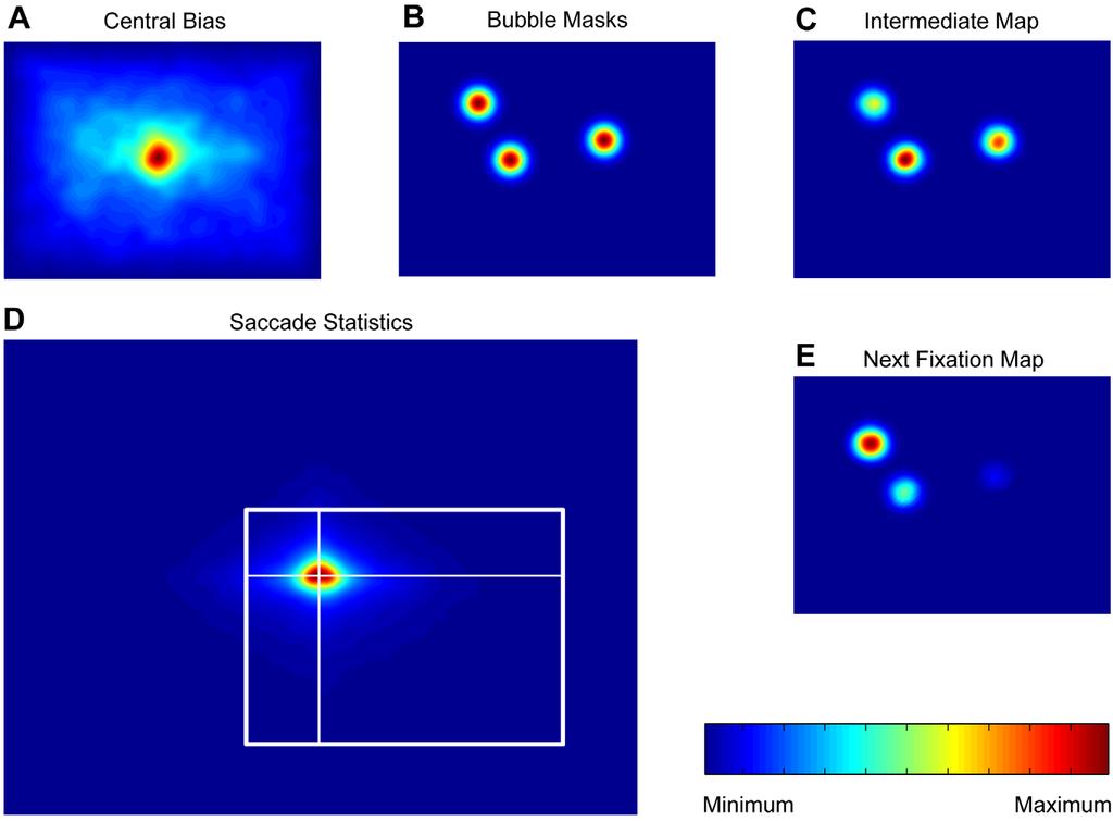 Figure 13. Simulation of fixation trajectories based on spatial biases.