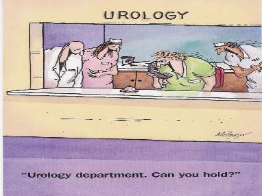 Urogynecology Office Urogynecology Office Can You Hold?