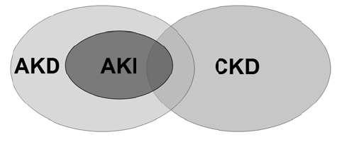 ERBP: Assess patients 2 months after AKI to evaluate the completeness of resolution, the detection of new onset CKD or worsening of preexisting CKD.