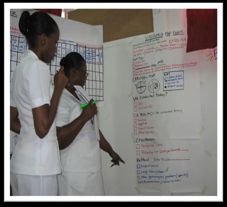 INTENDED AUDIENCE National health sector staff engaged in designing, adapting or maintaining M&E systems Decision-makers who use data to improve programs NGOs,