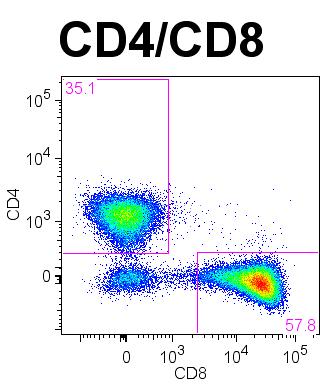 Inverted CD4/CD ratio in situ versus PBMC