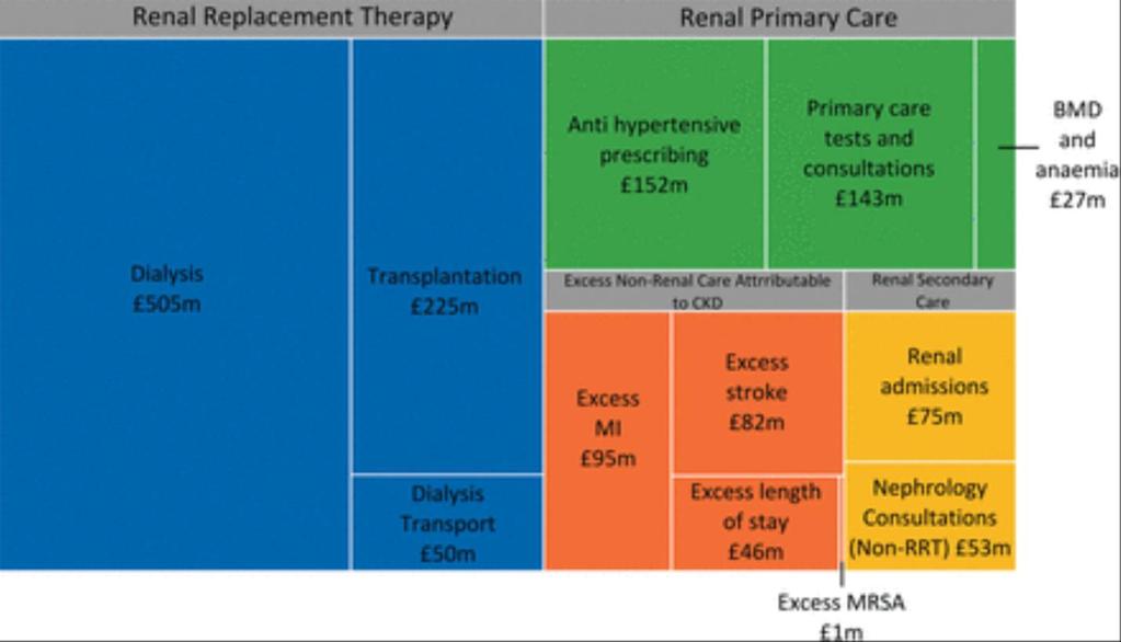 Estimated cost of CKD to the NHS (2010) The overall annual cost of CKD is estimated at 1.44 to 1.45 billion.