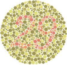 Color blindness Vision Disorders http://www.