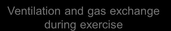 Ventilation and gas exchange during exercise