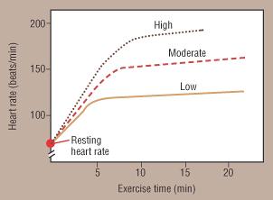 Heart rate: resting values Alter oder Trainings-Status Schläge pro Minute Babys, bis 1 Jahr: 100 160 Kinder, 1 bis 10 Jahre: 60 140 Kinder, >10 Jahre und Erwachsene: 60