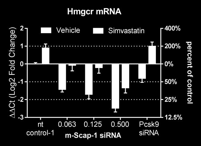 5 mg/kg) and m-scap-1 sirna at the indicated doses (mg/kg).