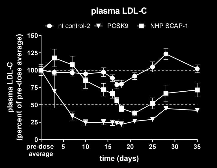 (A) Plasma PCSK9, (B) plasma LDL-C and (C) plasma HDL-C.