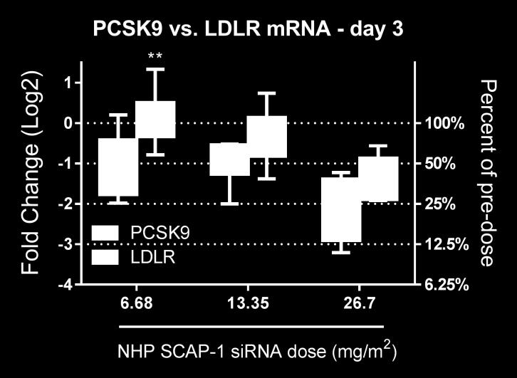 Liver biopsies were collected on days -2, 3, 12 and 26 after sirna dosing for measurement of liver SCAP mrna (A), liver PCSK9 mrna (B).