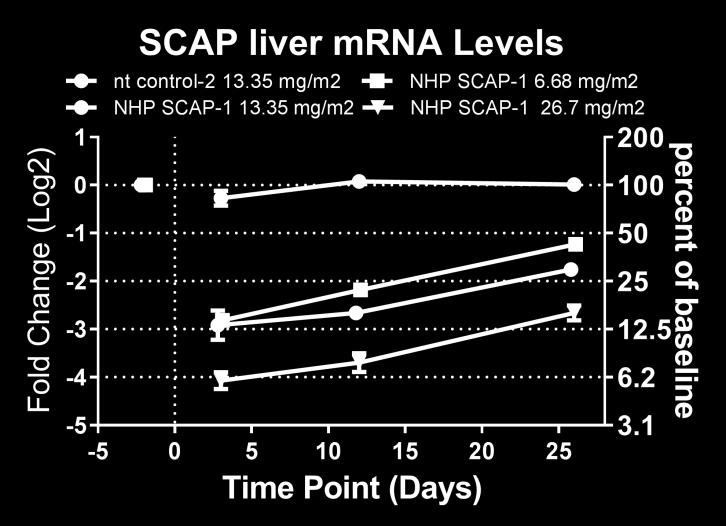 Liver PCSK9 mrna was significantly lower in the 26.7 mg/m 2 dose group relative to nt control-2 at all time points and significantly lower in the 13.