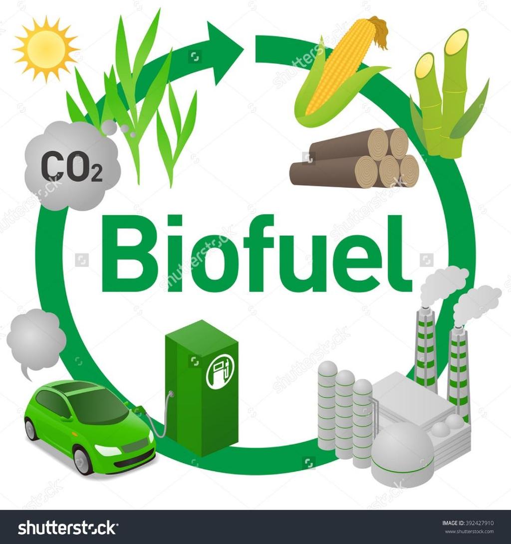 5 Carbon cycle in biofuel